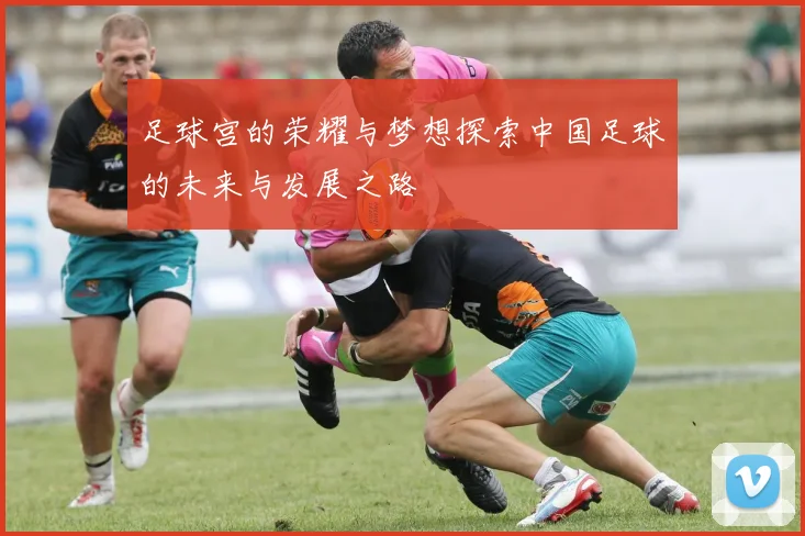 足球宫的荣耀与梦想探索中国足球的未来与发展之路