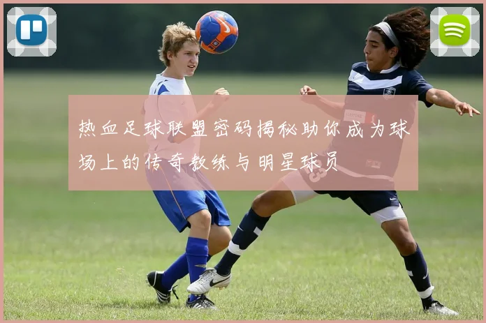 热血足球联盟密码揭秘助你成为球场上的传奇教练与明星球员