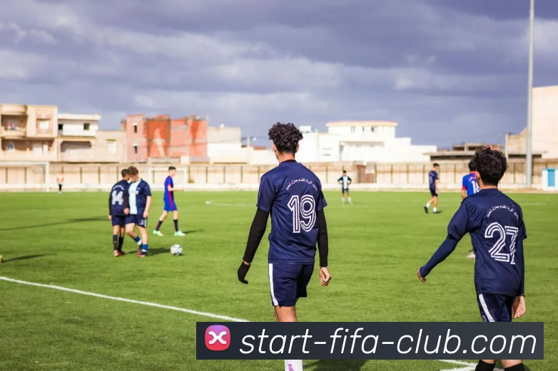 中国体彩竞猜平台生态图